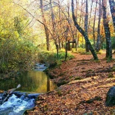Casa La Vega Konuk evi El Bosque Dış mekan fotoğraf