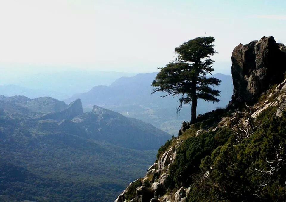 Casa La Vega Konuk evi El Bosque Dış mekan fotoğraf